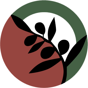 Volunteers for Palestine logo